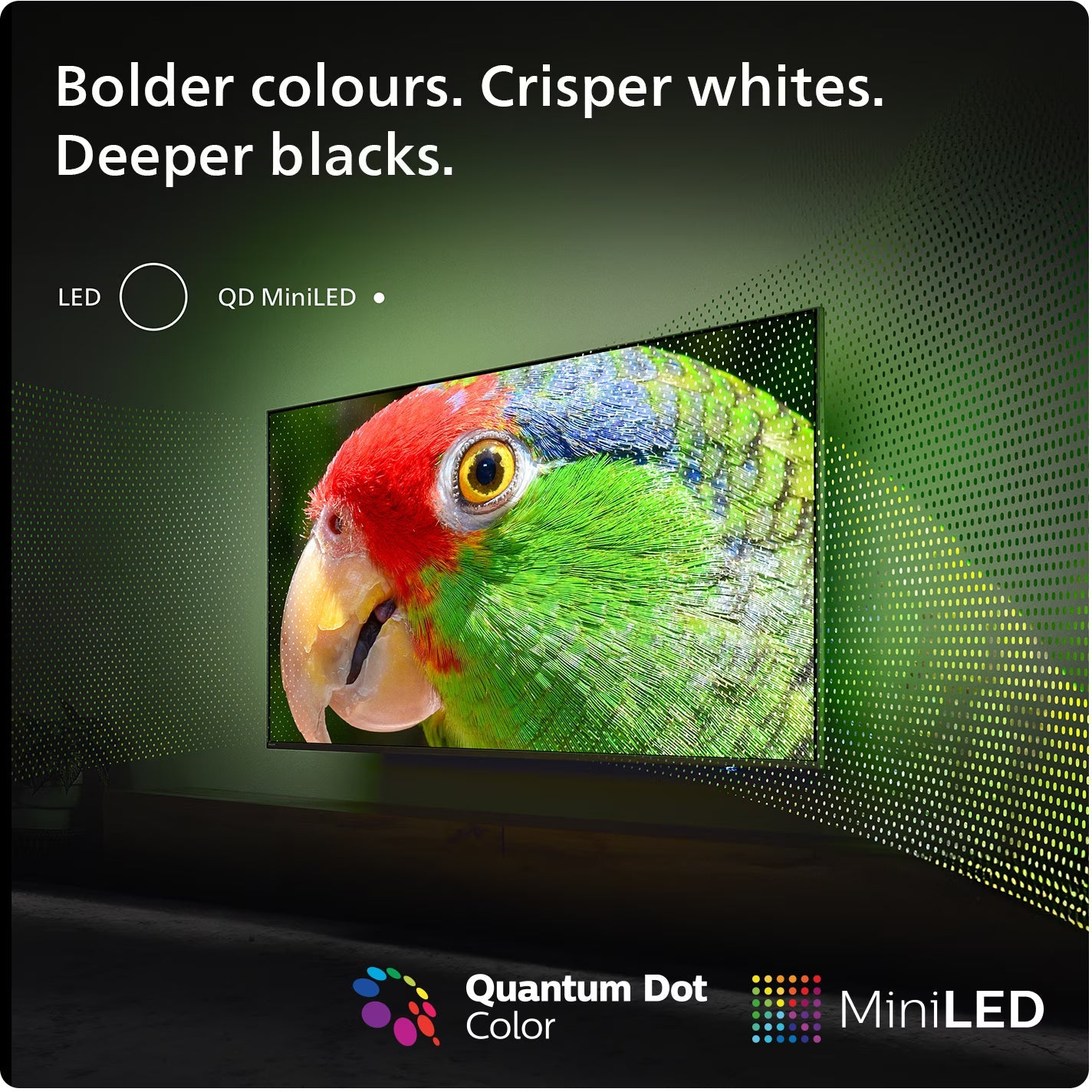 4K MINI LED – ElectroXpert