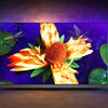Philips - 48 inch - 48OLED907/12 - OLED TV + Ambilight