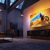 Philips - 55 inch - 55PML9009/12 - MINILED + Ambilight