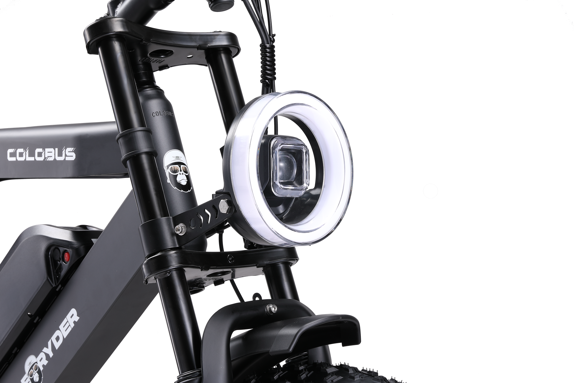 Fatbike - Ape Ryder - Colobus