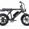 Ape Ryder Colobus Premium E-bike 2025 – Hoogwaardige Elektrische Fiets