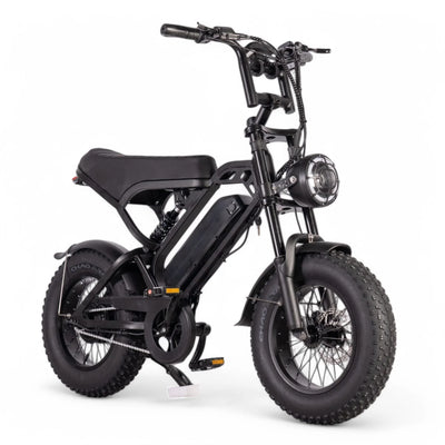 [OP VOORRAAD] FATBIKE V20 MINI
