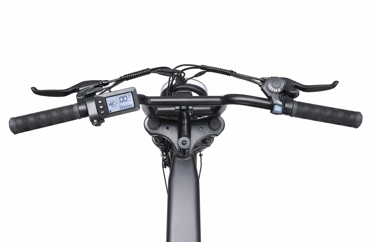 Fatbike - Ape Ryder - Colobus