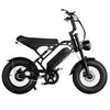 [VORBESTELLUNG] FATBIKE V20 MINI