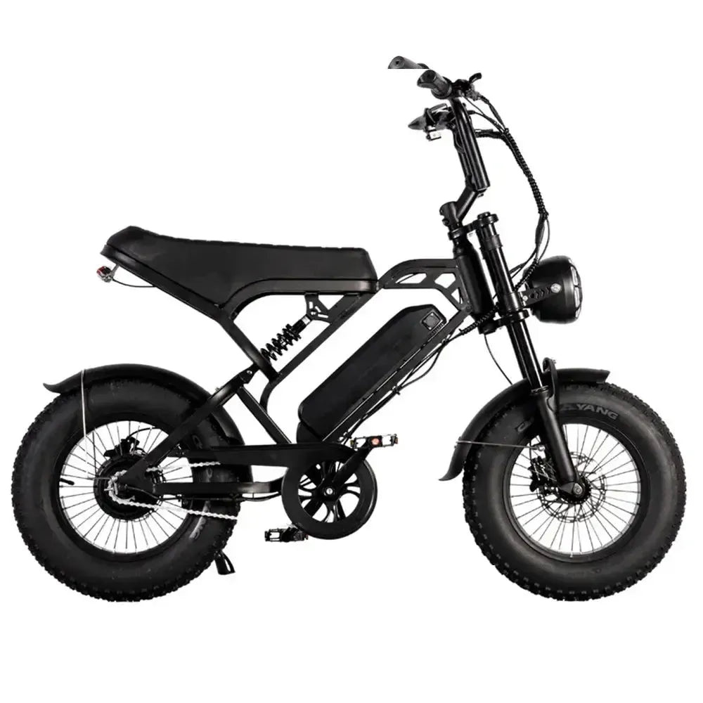 [VORBESTELLUNG] FATBIKE V20 MINI