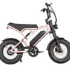 [VORBESTELLUNG] FATBIKE V20 MINI