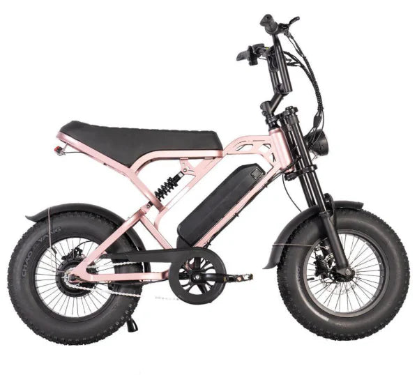 [VORBESTELLUNG] FATBIKE V20 MINI