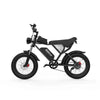 [PRE-ORDEN] FATBIKE RIDSTAR Q20