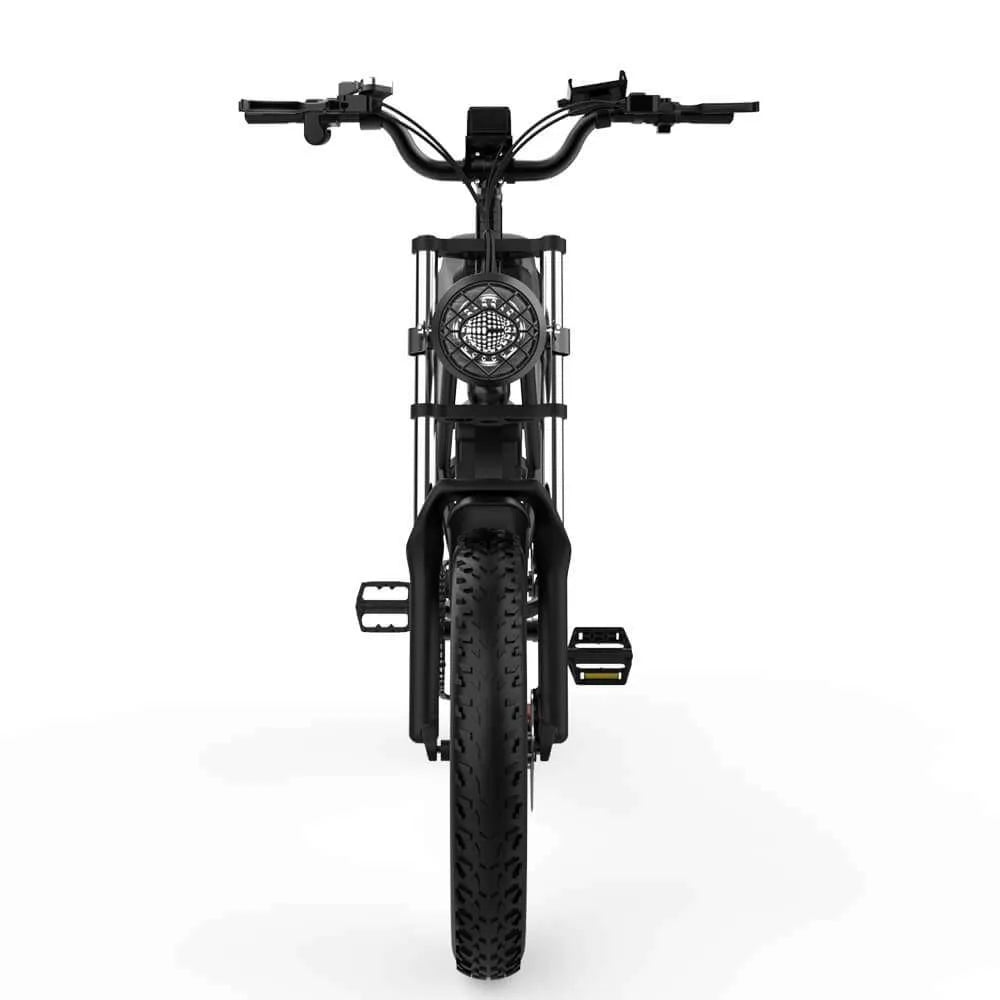 [PRE-ORDEN] FATBIKE RIDSTAR Q20